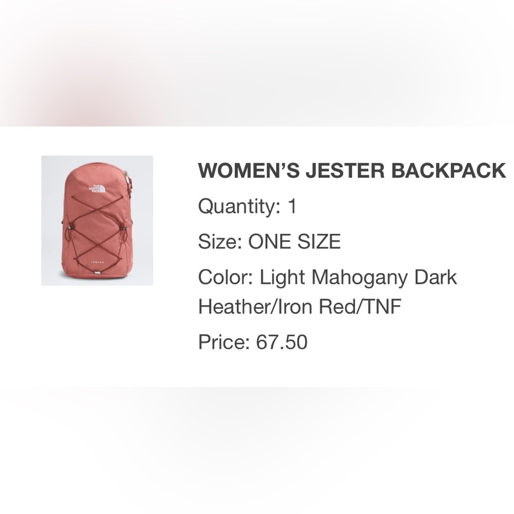 North face jester backpack in mahogany pink